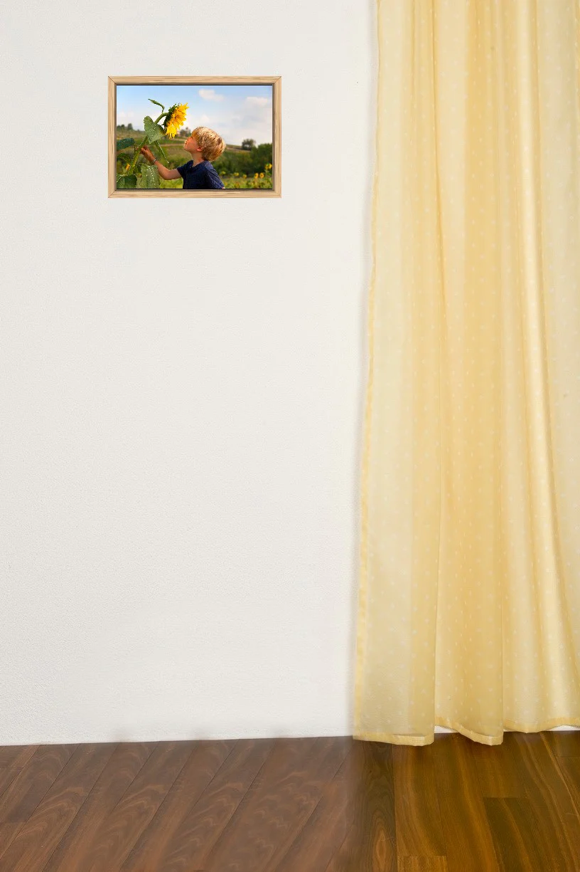 Vorschaubild 1